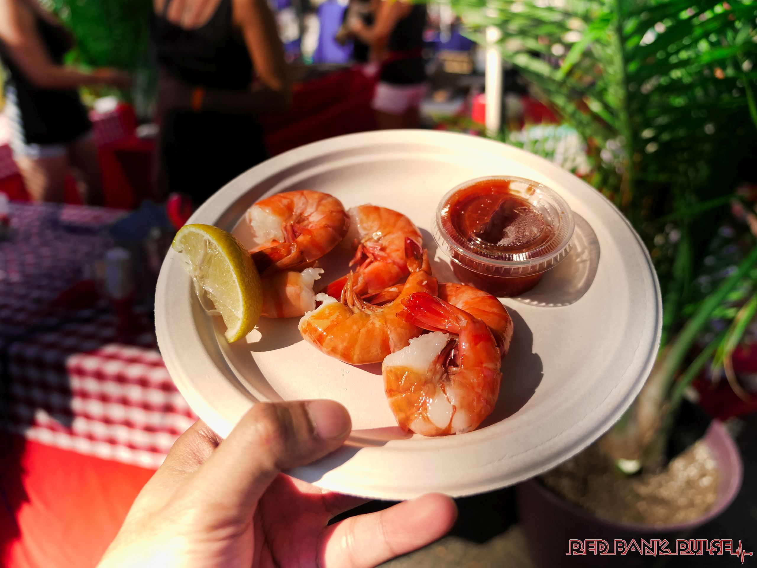 Best beer & Oktoberfest events you should know about at the Jersey Shore